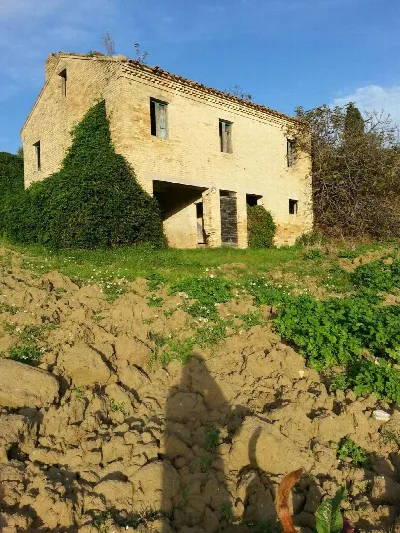 Rustico/Casale in vendita a Montelparo - foto 2