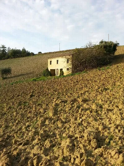 Rustico/Casale in vendita a Montelparo - foto 3