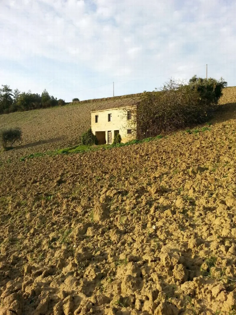 Rustico/Casale in vendita a Montelparo - foto 3