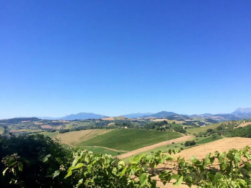 Rustico/Casale in vendita a Montelparo - foto 4