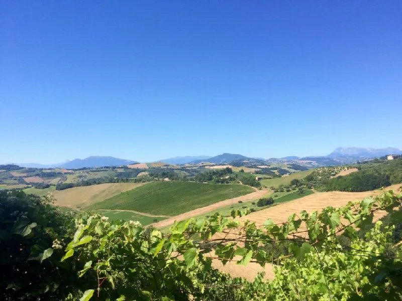 Rustico/Casale in vendita a Montelparo - foto 5