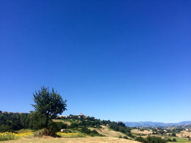 Rustico/Casale in vendita a Montelparo - foto 6