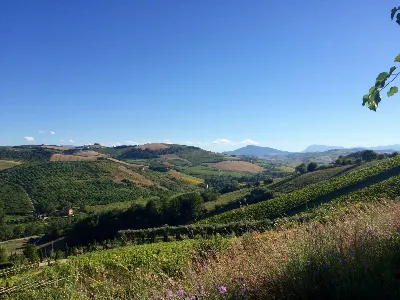 Rustico/Casale in vendita a Montelparo - foto 7