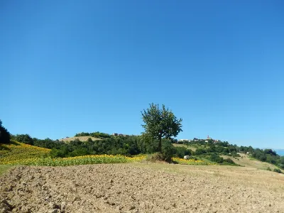 Rustico/Casale in vendita a Montelparo - foto 8