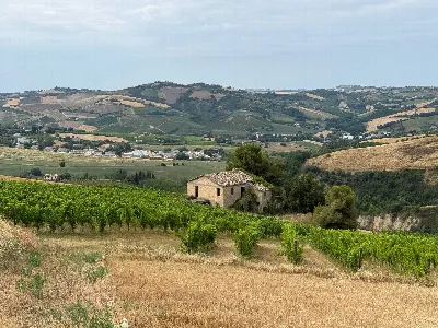 Rustico/Casale in vendita a Offida - foto 1