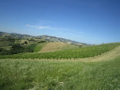 Rustico/Casale in vendita a Offida - foto 10