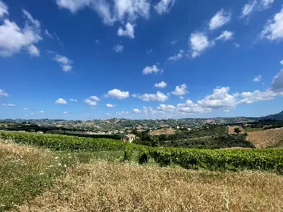 Rustico/Casale in vendita a Offida - foto 2