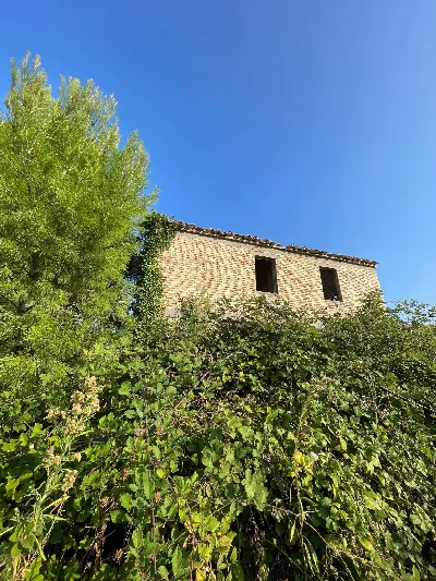 Rustico/Casale in vendita a Offida - foto 4