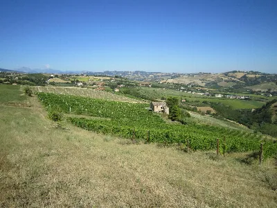 Rustico/Casale in vendita a Offida - foto 8