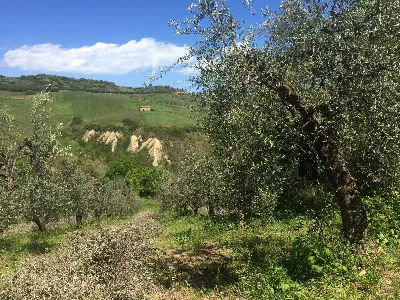 Rustico/Casale in vendita a Monteprandone - foto 7
