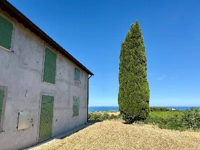 Rustico/Casale in vendita a Ripatransone - foto 10