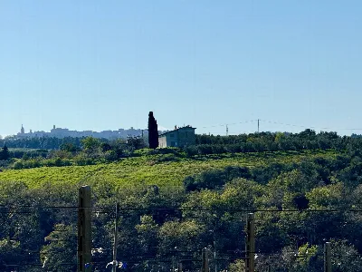 Rustico/Casale in vendita a Ripatransone - foto 5