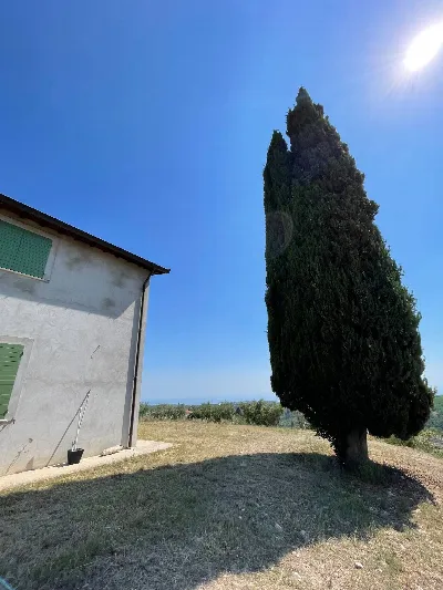 Rustico/Casale in vendita a Ripatransone - foto 8