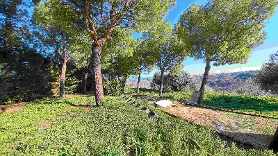 Rustico/Casale in vendita a Ripatransone - foto 6