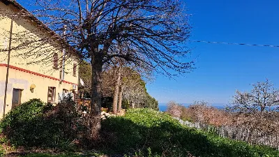 Rustico/Casale in vendita a Ripatransone - foto 9