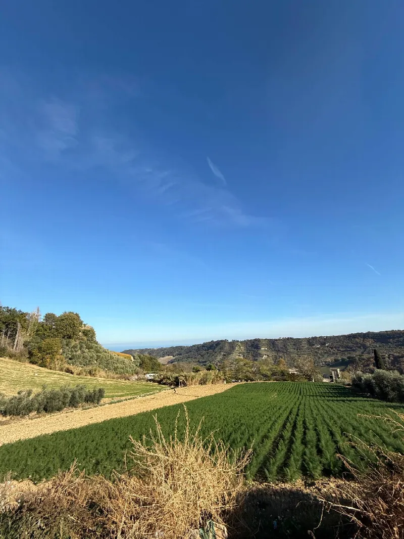 Rustico/Casale in vendita a Ripatransone - foto 7