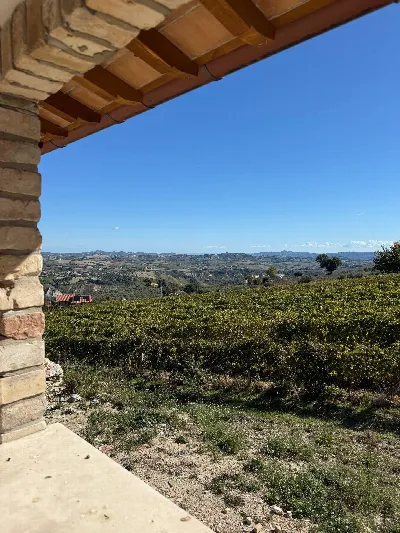 Rustico/Casale in vendita ad Appignano del... - foto 4