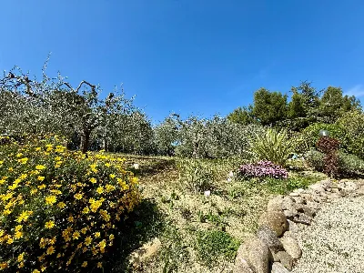 Rustico/Casale in vendita a Offida - foto 6