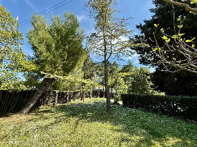 Rustico/Casale in vendita a Offida - foto 9