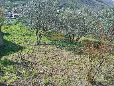 Casa Indipendente in vendita a Montoro - foto 2