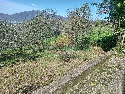 Casa Indipendente in vendita a Montoro - foto 3