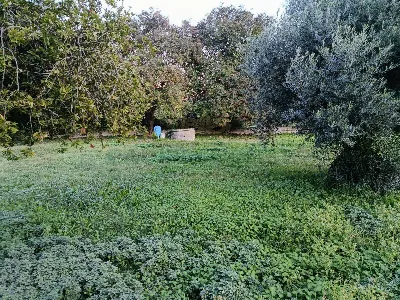 Villa in vendita a Montoro - foto 4
