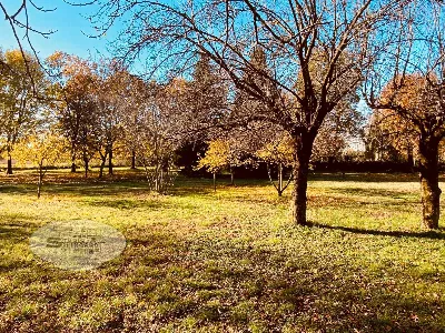 Villa in vendita a Formigine - foto 3