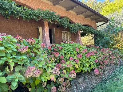 Villa in vendita a Formigine - foto 4