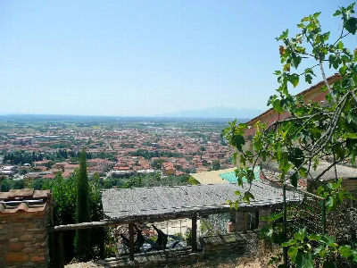 Rustico/Casale in vendita a Monsummano Ter... - foto 1