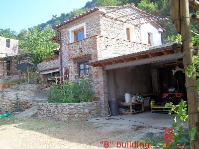 Rustico/Casale in vendita a Monsummano Ter... - foto 10