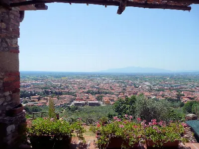 Rustico/Casale in vendita a Monsummano Ter... - foto 3