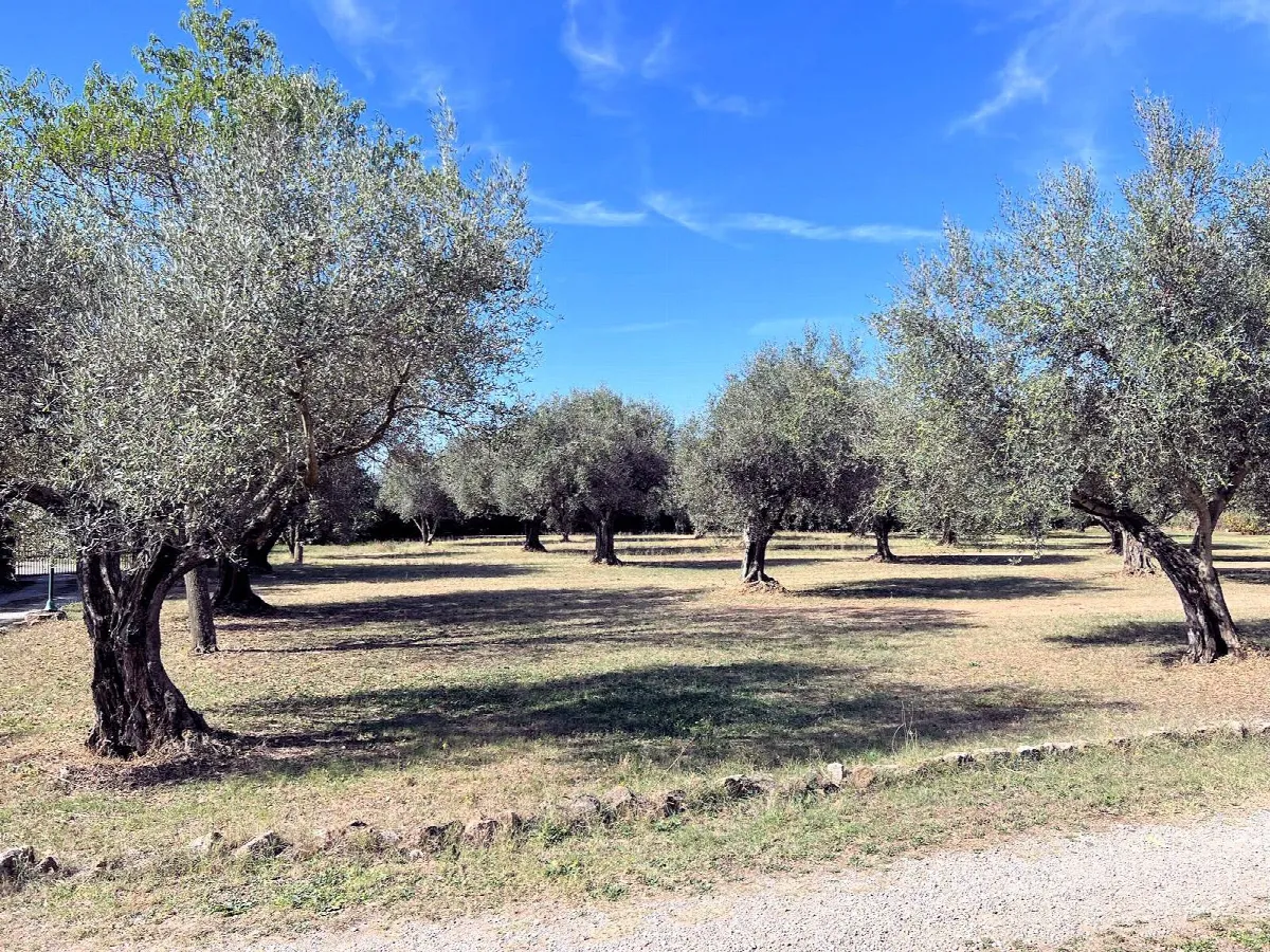 Villa in vendita a Pitigliano - foto 4