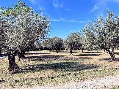 Villa in vendita a Pitigliano - foto 4