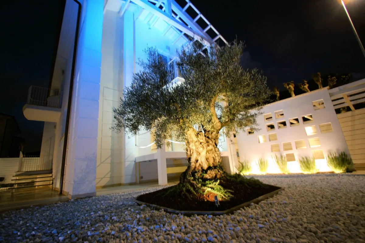 Villa in vendita a Camaiore - foto 3