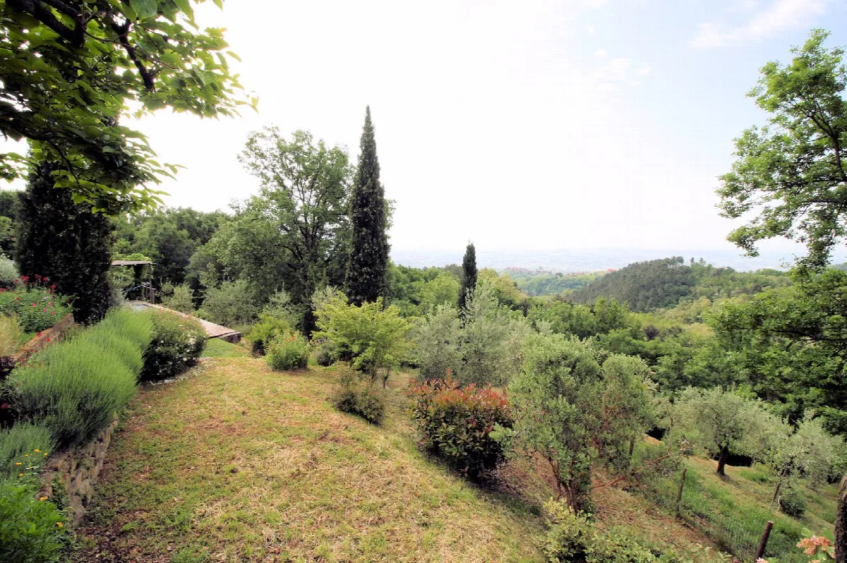 Rustico/Casale in vendita a Buggiano - foto 3