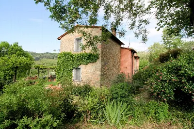 Rustico/Casale in vendita a Buggiano - foto 8