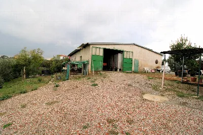 Rustico/Casale in vendita a Cerreto Guidi - foto 10