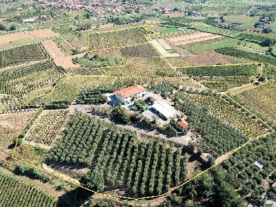 Rustico/Casale in vendita a Cerreto Guidi - foto 2
