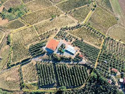 Rustico/Casale in vendita a Cerreto Guidi - foto 5
