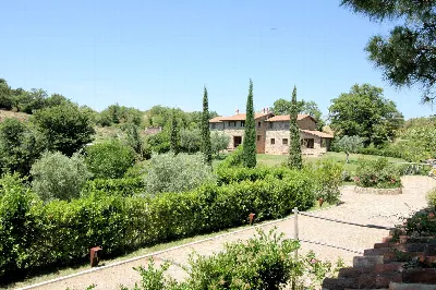 Rustico/Casale in vendita a Scansano - foto 3