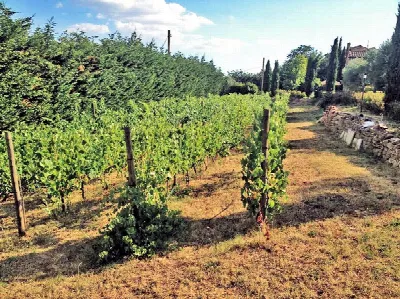 Rustico/Casale in vendita a Cortona - foto 3