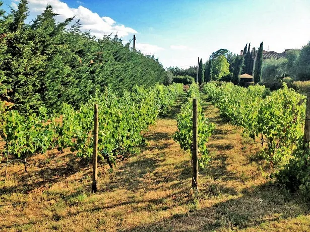 Rustico/Casale in vendita a Cortona - foto 4