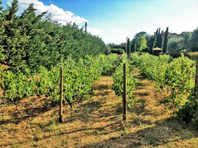 Rustico/Casale in vendita a Cortona - foto 4