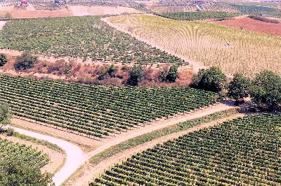 Rustico/Casale in vendita a Montepulciano - foto 1