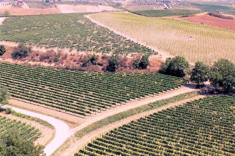 Rustico/Casale in vendita a Montepulciano - foto 1