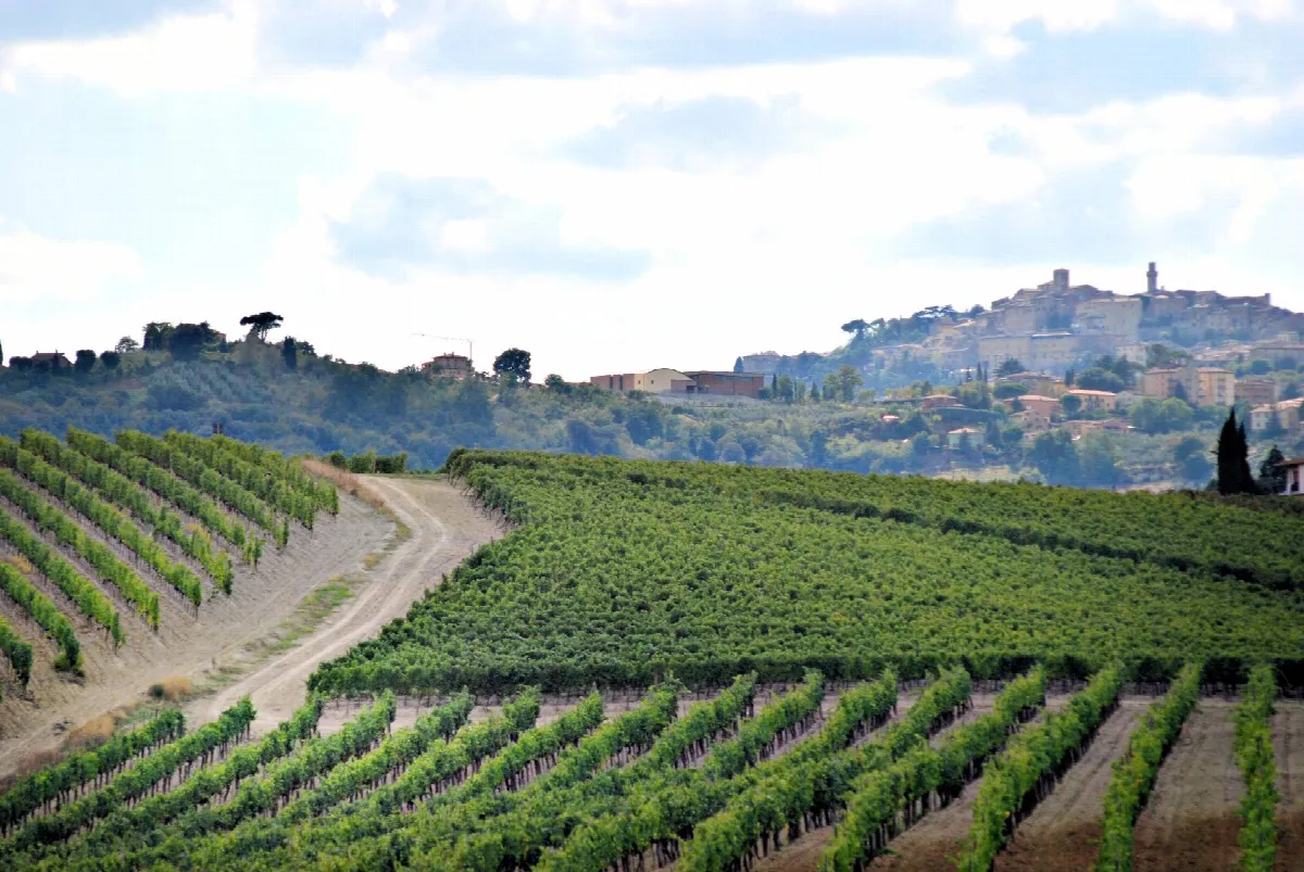 Rustico/Casale in vendita a Montepulciano - foto 2