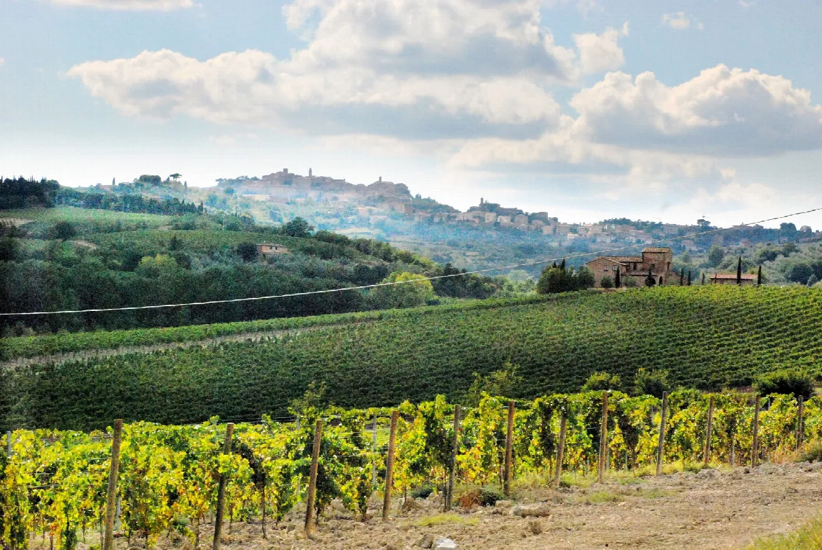 Rustico/Casale in vendita a Montepulciano - foto 3