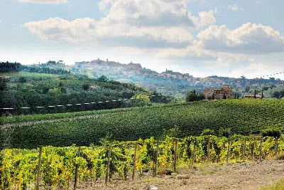 Rustico/Casale in vendita a Montepulciano - foto 3