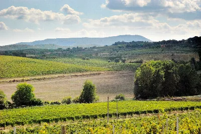 Rustico/Casale in vendita a Montepulciano - foto 7