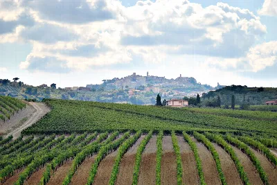 Rustico/Casale in vendita a Montepulciano - foto 8